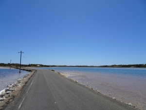 DSC00040