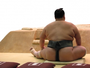 relaxed sumo
