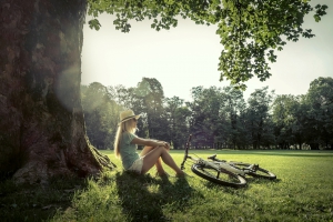 under_the_big_tree