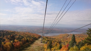 mont3