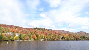 mont1